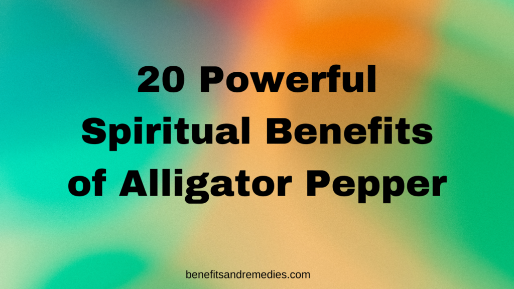 Spiritual Benefit of alligator pepper