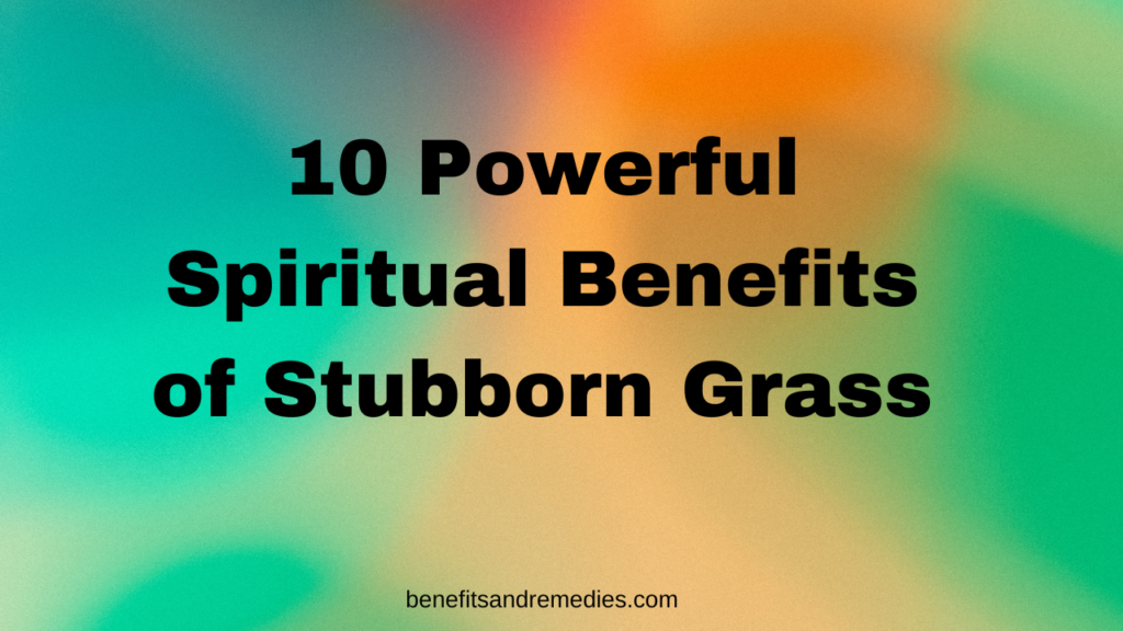 stubborn grass spiritual benefits